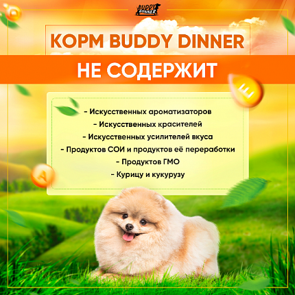 Корм для собак мелких пород Buddy Dinner Green Line с говядиной, 20 кг