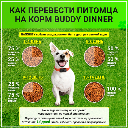 Корм для собак всех пород Buddy Dinner Green Line с рыбой, 20 кг