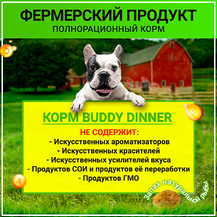 Корм для собак всех пород Buddy Dinner Green Line с рыбой, 15 кг