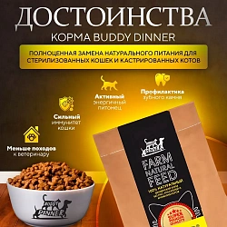 Корм для кошек Buddy Dinner Gold Line с говядиной, 15 кг