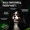 Корм для собак мелких пород Buddy Dinner Eco Line с лососем, 3 кг + 1 кг