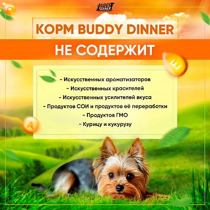 Корм для собак мелких пород Buddy Dinner Eco Line с говядиной, 3 кг + 1 кг