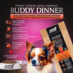 Корм для собак мелких пород Buddy Dinner Orange Line с лососем, 20 кг