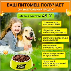 Корм для собак всех пород Buddy Dinner Orange Line с говядиной, 20 кг