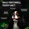 Корм для собак мелких пород Buddy Dinner Eco Line с лососем, 20 кг