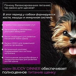 Корм для щенков мелких пород Buddy Dinner Platinum Line полнорационный с говядиной и рыбой, 7 кг + 1 кг