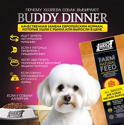 Корм для собак мелких пород Buddy Dinner Gold Line с лососем, 10 кг